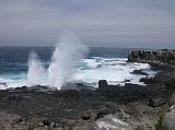 Galapagos 3-1-13 Espanola Punta Suarez Blowhole The blowhole is pretty spectacular next to the jagged cliffs of Espanola. The waves crash on the cliffs flowing through a lava tube, and then up and out in a blast of water like a geyser 15-30m into the air.